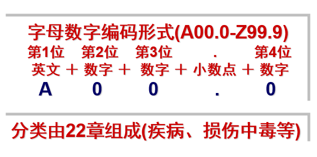 ICD10编码的基本结构及特点