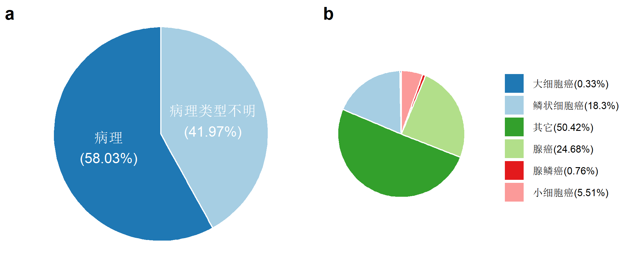 图5-10-5：2018年河南省肿瘤登记地区肺癌病例形态学构成（%）.