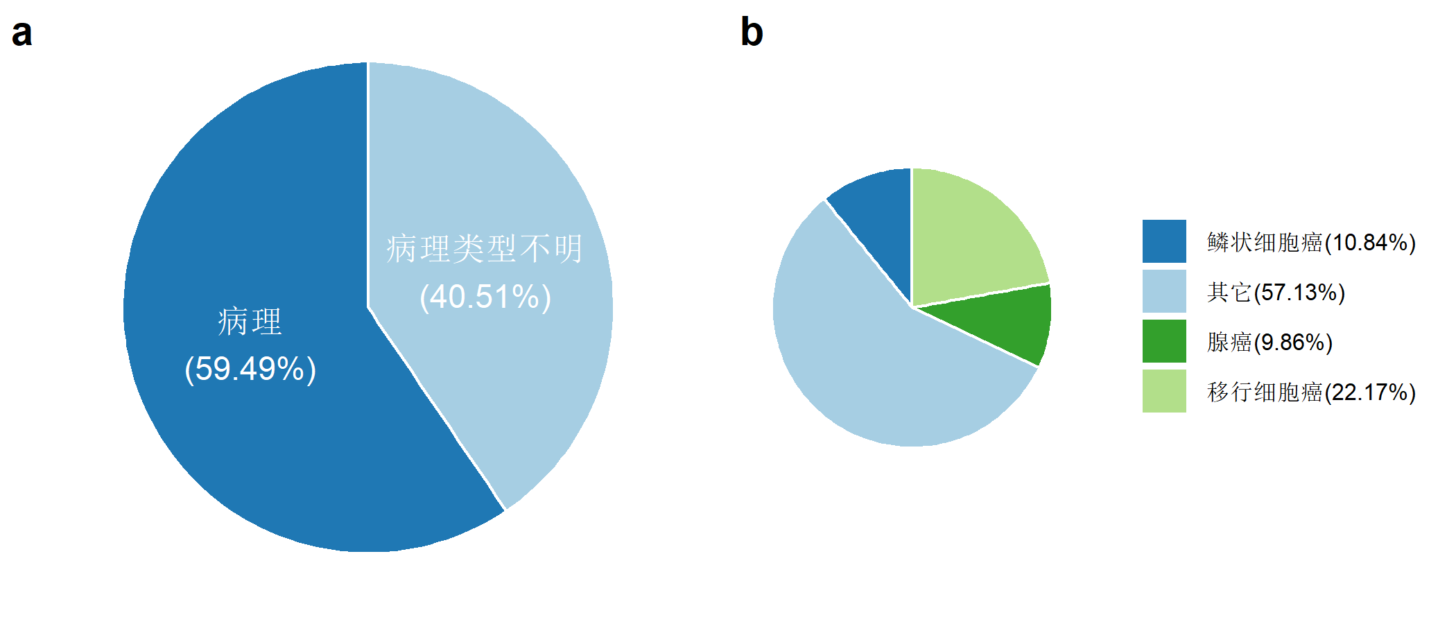 图5-18-5：2018年河南省肿瘤登记地区膀胱癌病例形态学构成（%）.