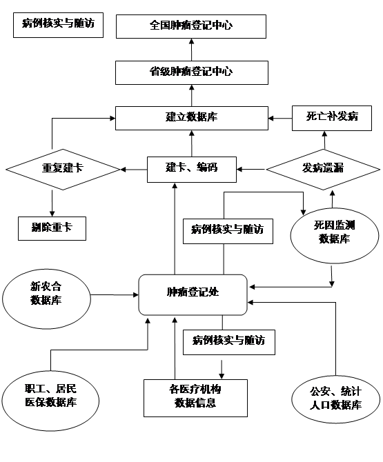 肿瘤登记工作流程图. \label{my-label}