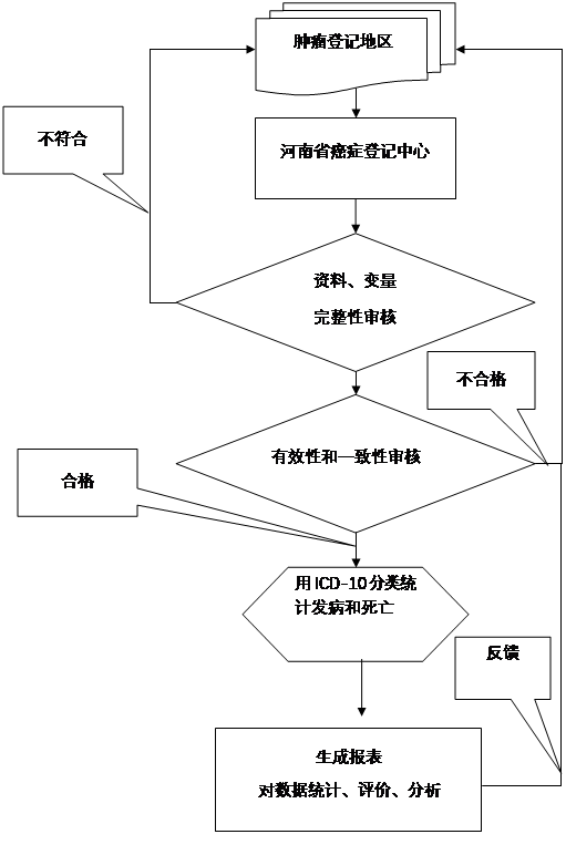 肿瘤登记资料的审核流程图. \label{my-label}